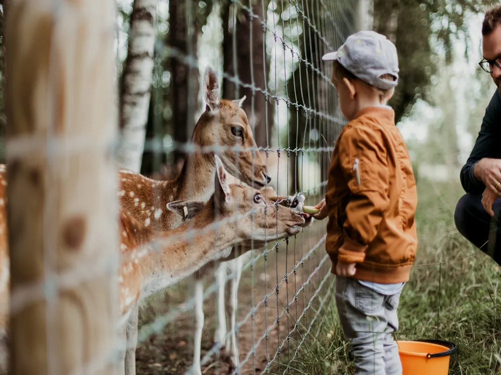 Emirates Park Zoo