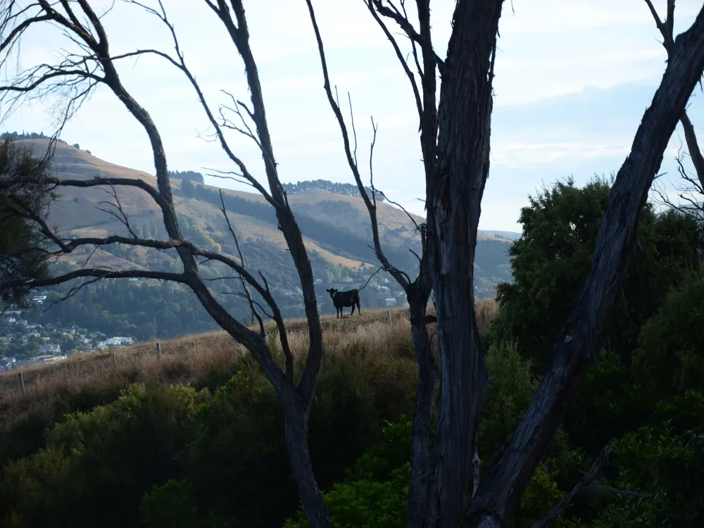 French Peak Wines