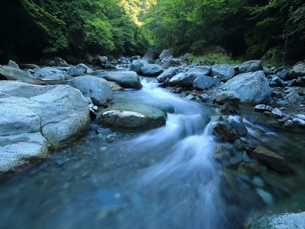 River Rafting in Along