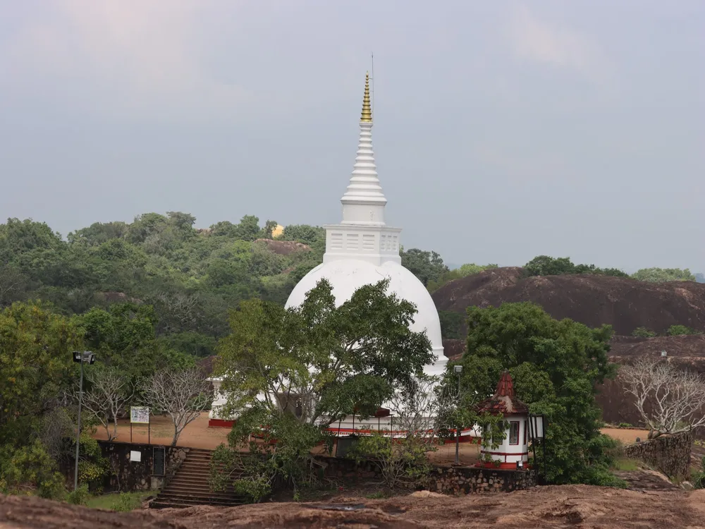 Sri Maha Bodhi