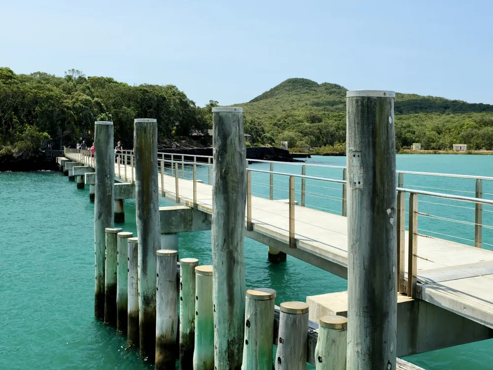 Rangitoto Island