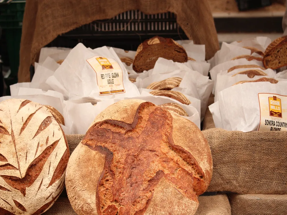 Auroville Bakery and Boulangerie