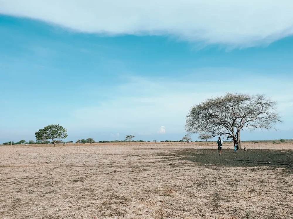 Baluran National Park