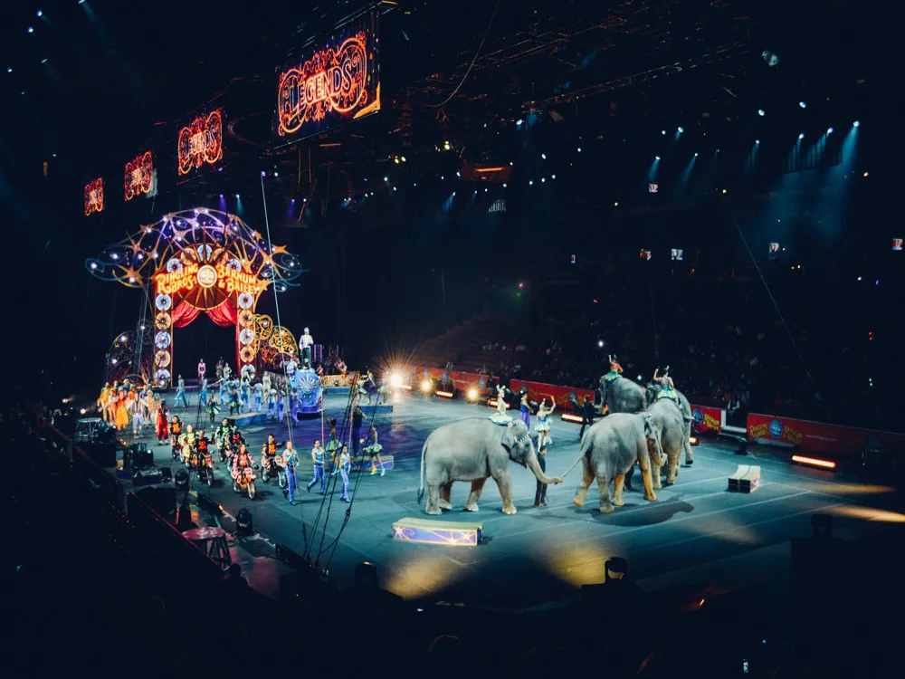 Battambang Circus