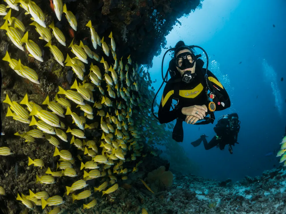 Diving in Bentota