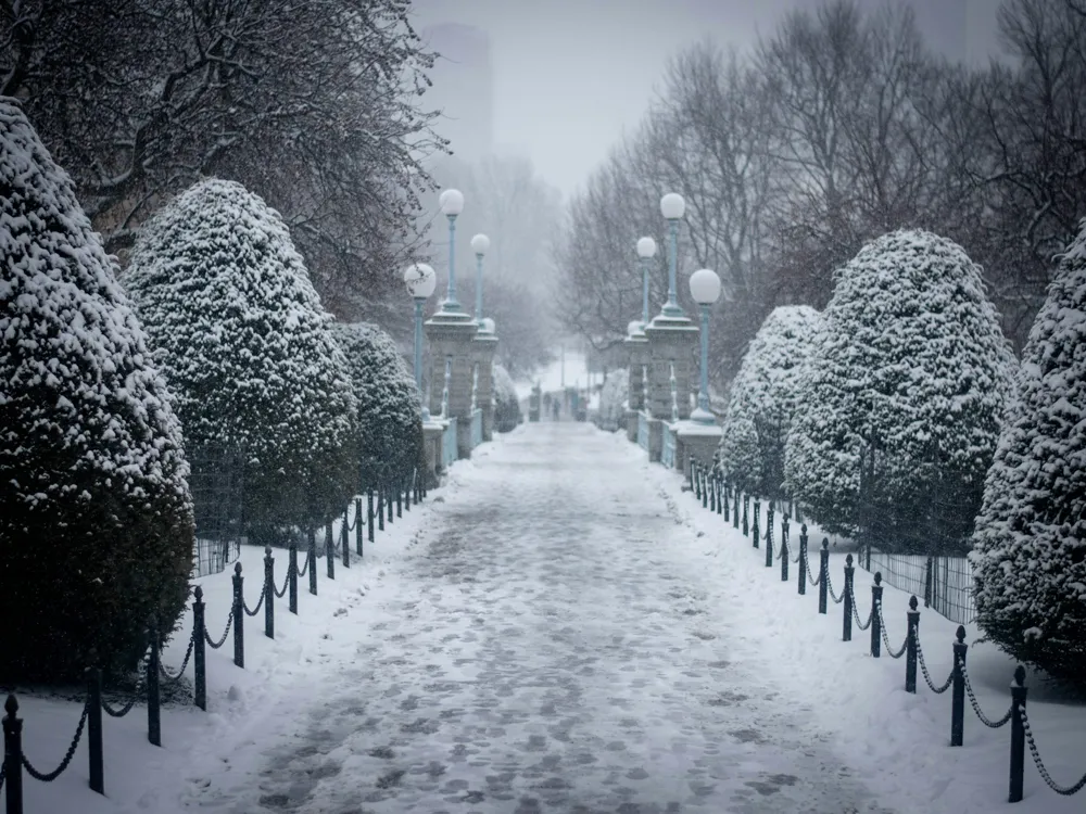 Boston Public Garden