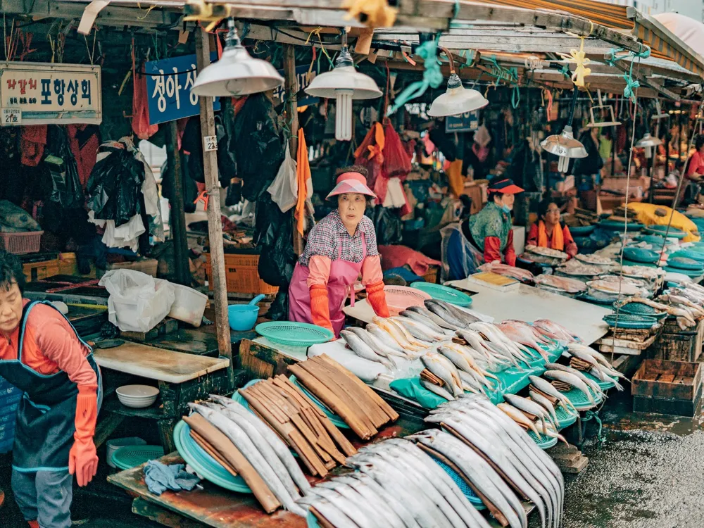 Jagalchi Fish Market