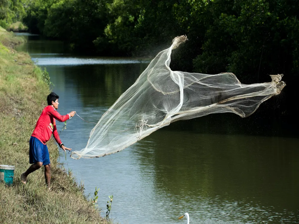 Crocodile Spotting Tours