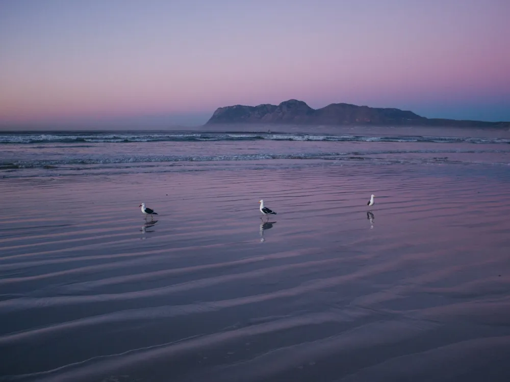 Muizenberg