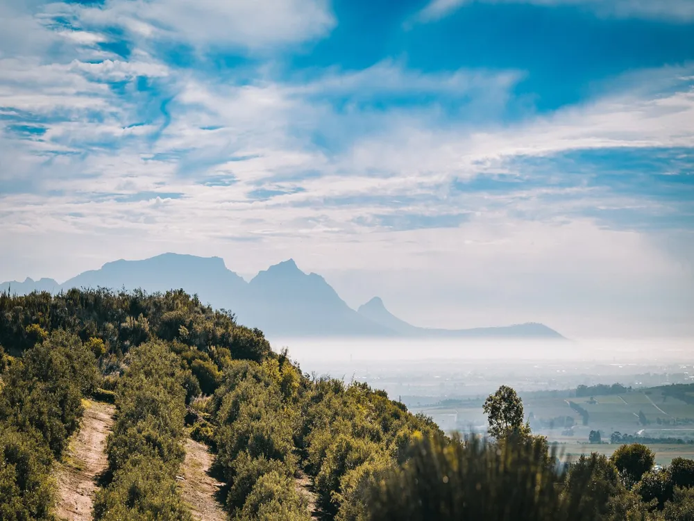 Stellenbosch