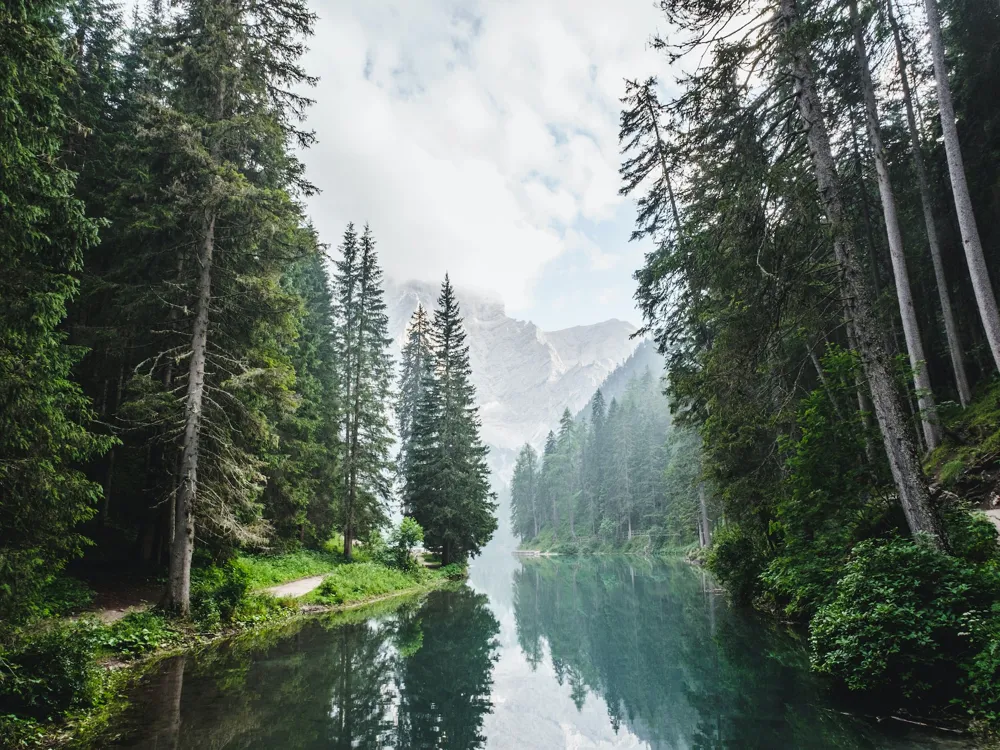 Bouskoura Forest