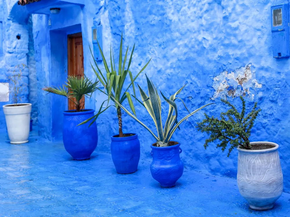 Walking Tours in Chefchaouen