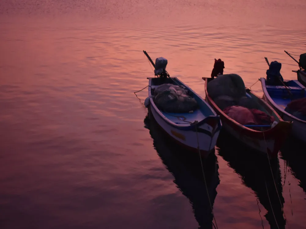 Fishing In Chennai