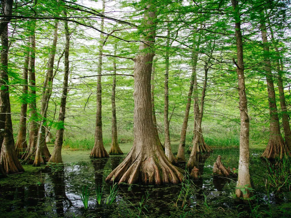 Anawilundawa Wetland Sanctuary