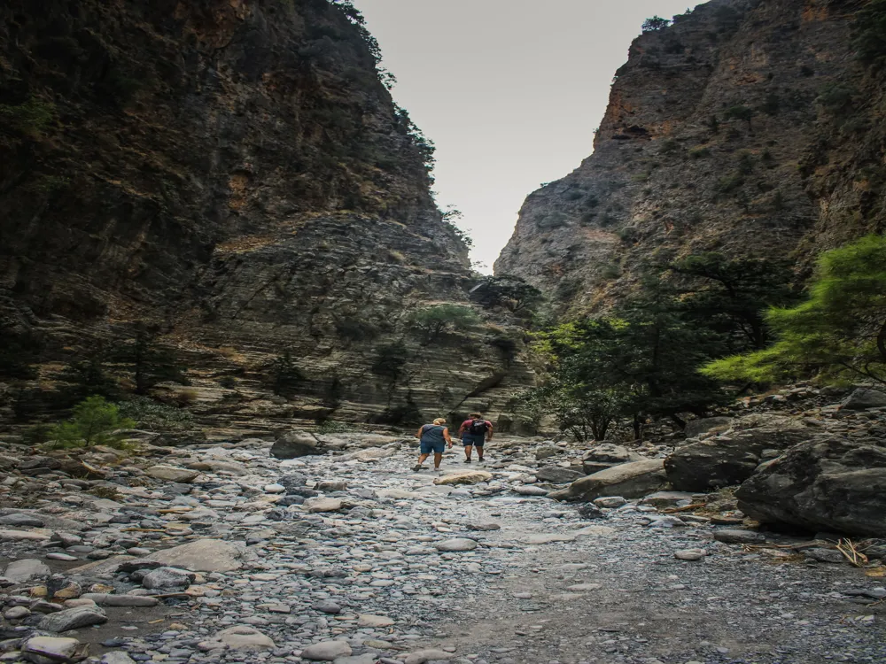 Hiking