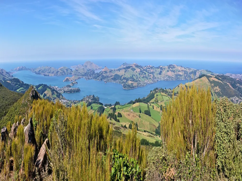 Taiaroa Head