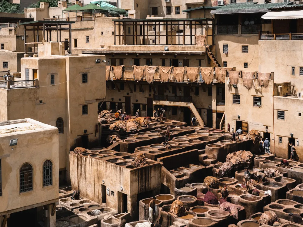 Fes Tanneries