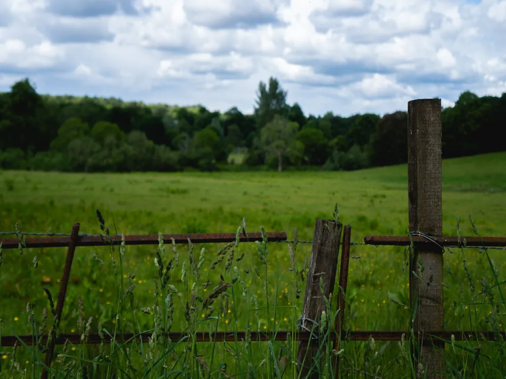 Pollock Country Park