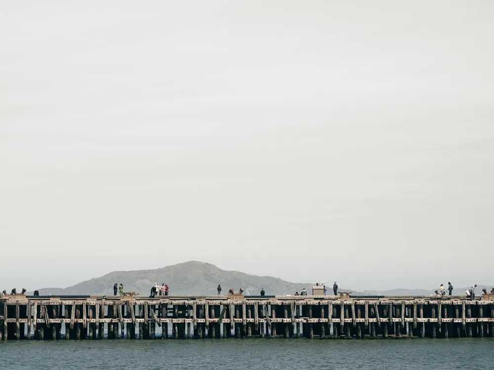 Haldia Dock and Port