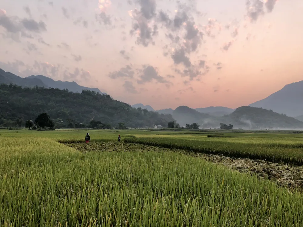 Mai Chau