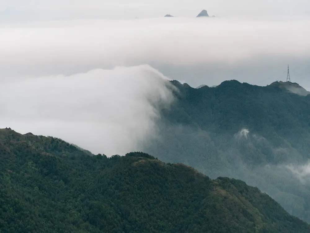 Tai Mo Shan