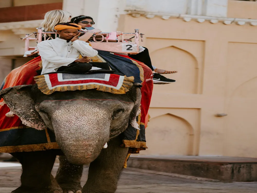 Elephant Festival in Jaipur