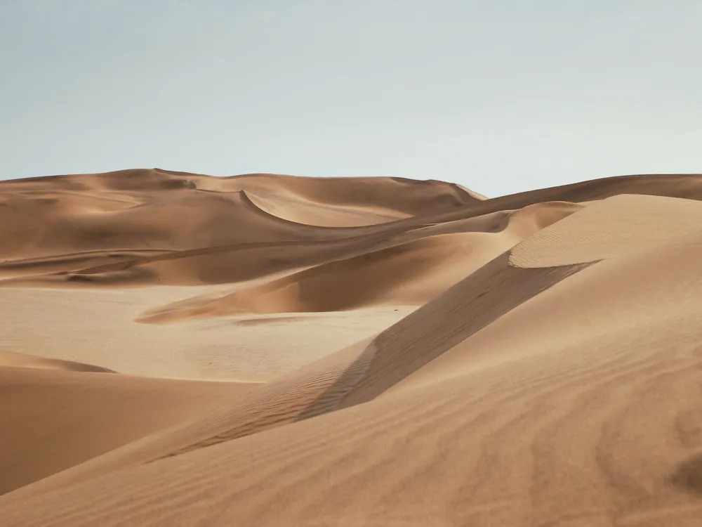 Dune Bashing