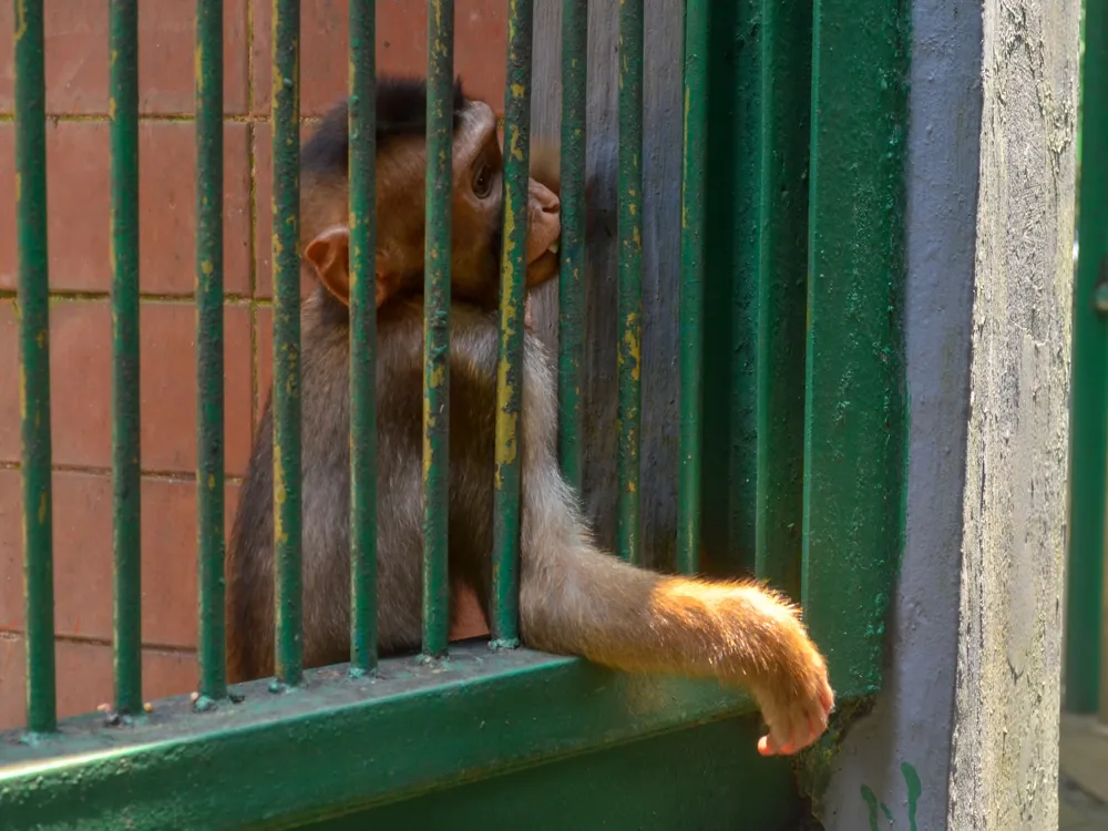 Ragunan Zoo