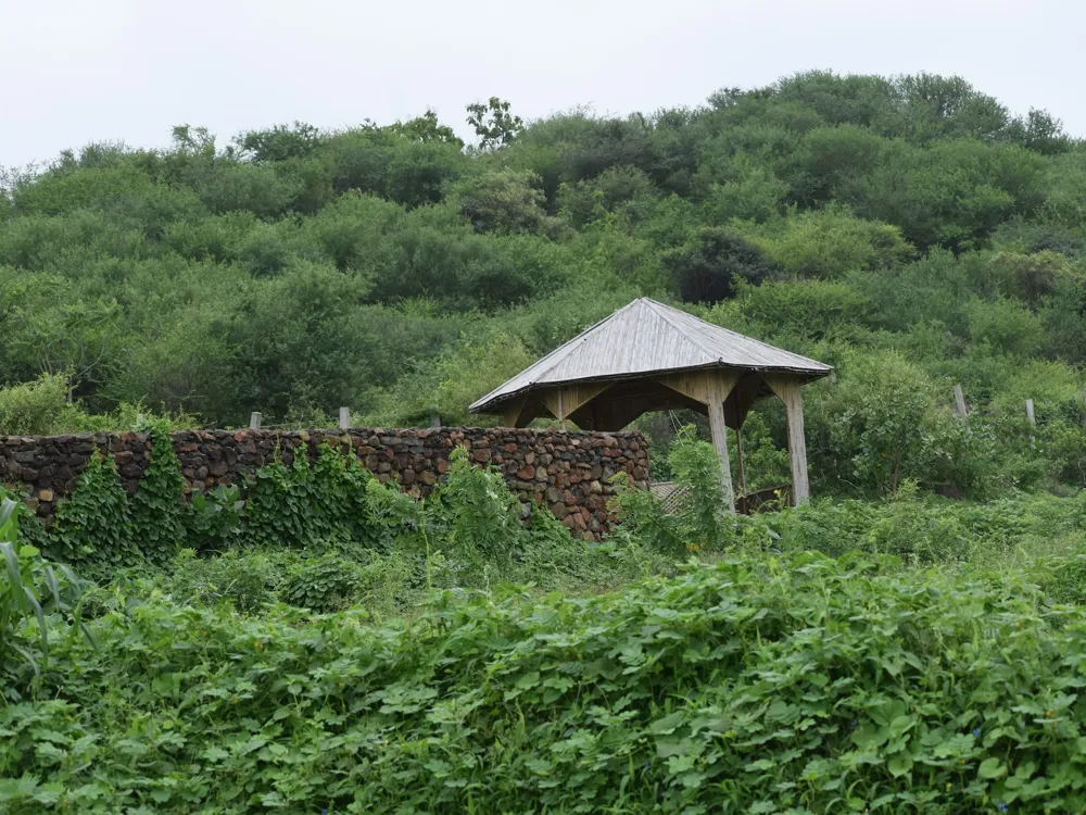 Jain Temples in Junagadh