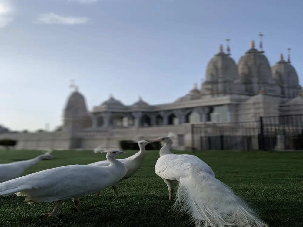 Chouddo Devotar Mandir