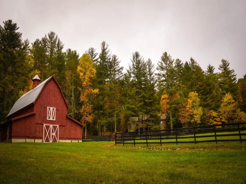 Ringking Farm