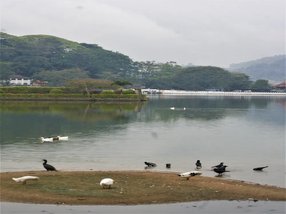 Kandy Lake