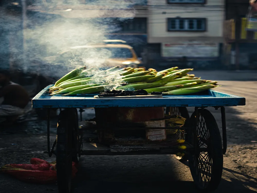 Food in Kolkata