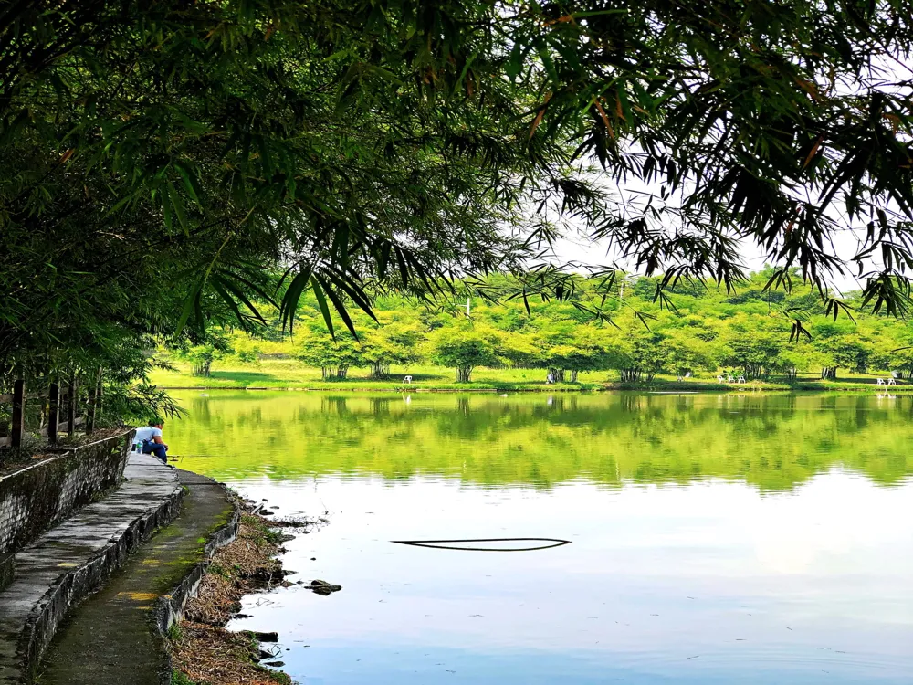 Paya Indah Wetlands