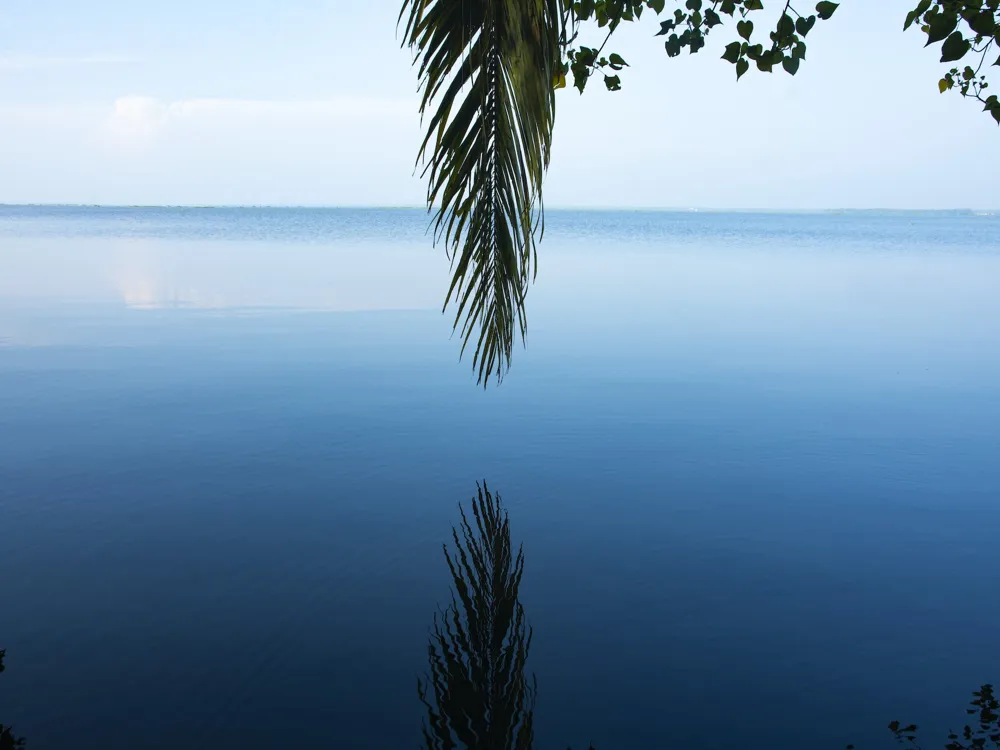 Kumarakom Backwaters