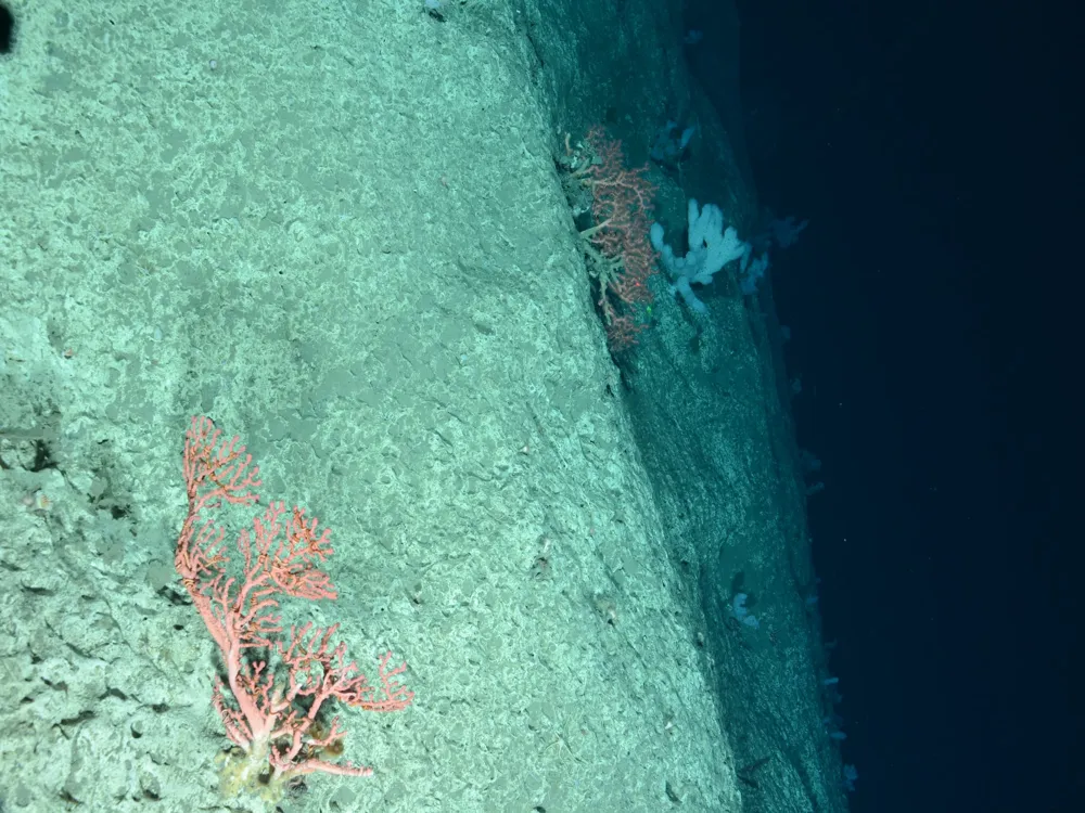 Malvan Marine Sanctuary