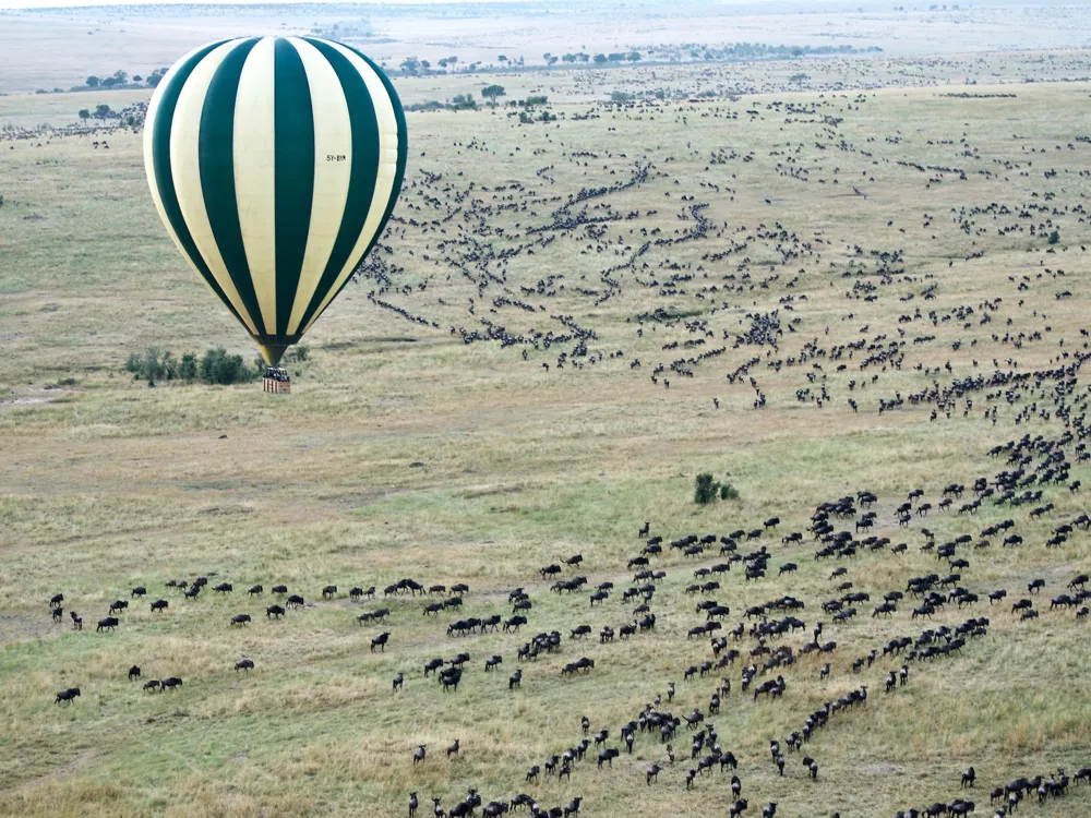 Balloon Safari