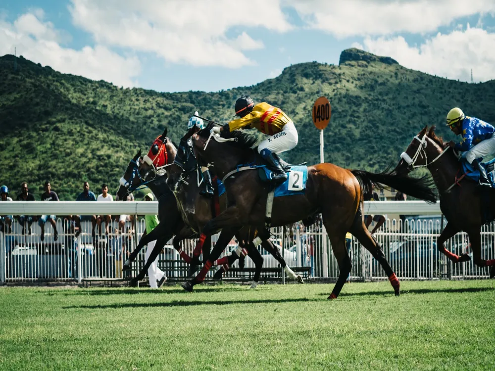 Horse Racing In Mauritius