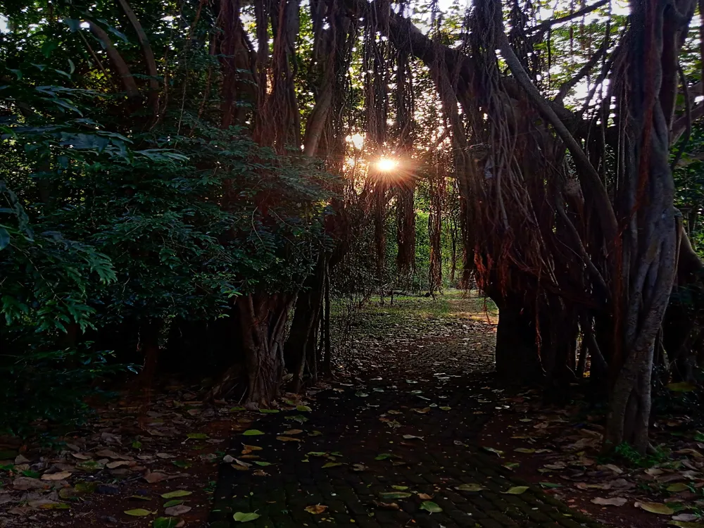 Maharashtra Nature Park