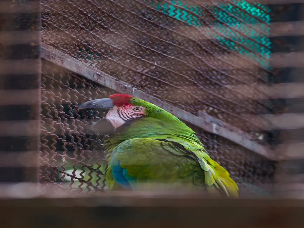 Mumbai Zoo