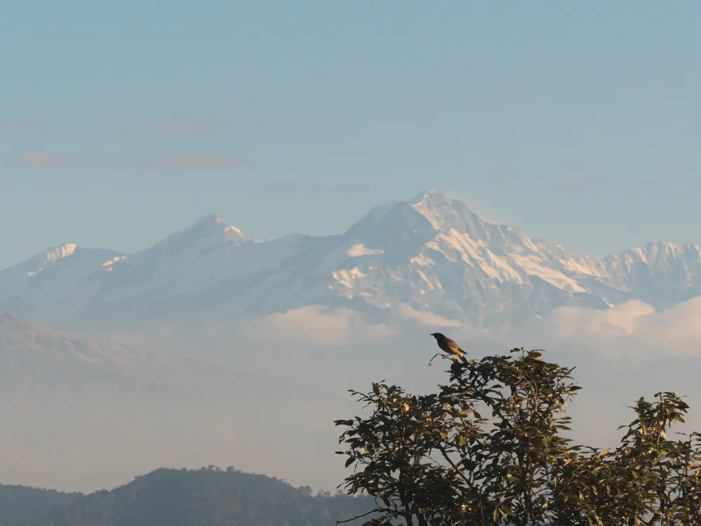 Panchachuli Peak