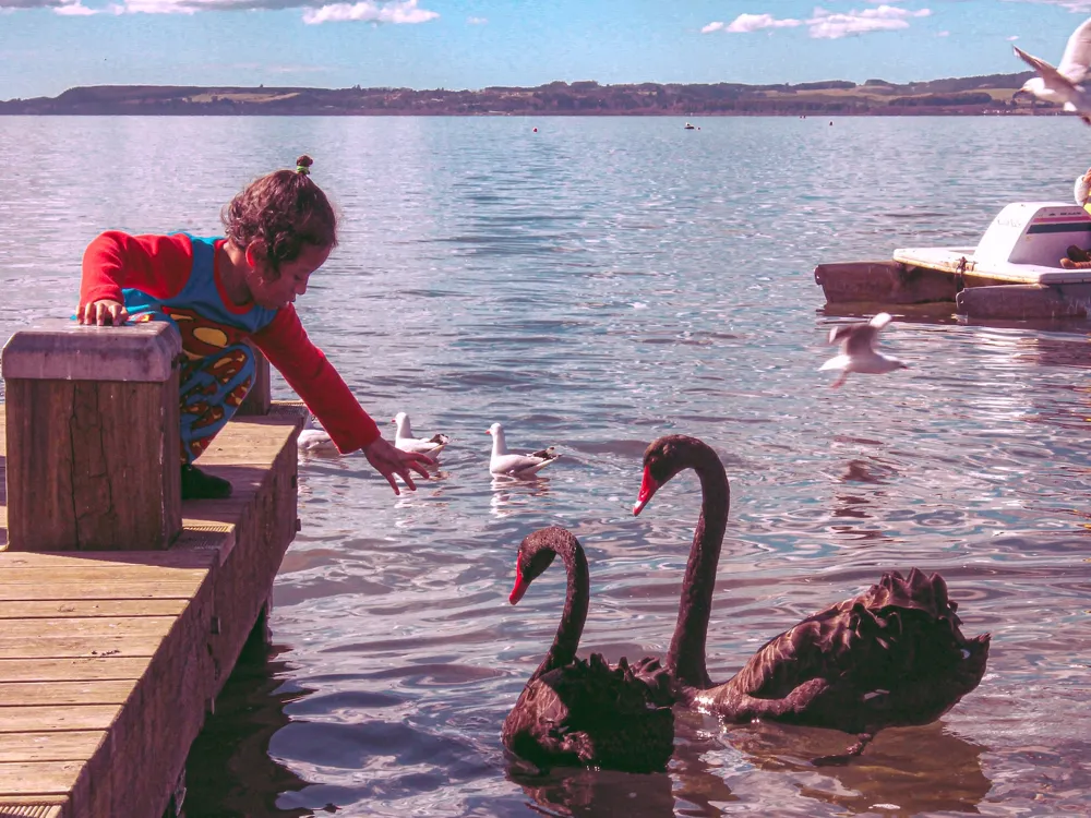 Rotorua Hot Springs