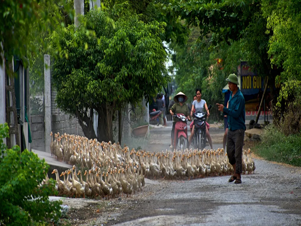 Tam Coc