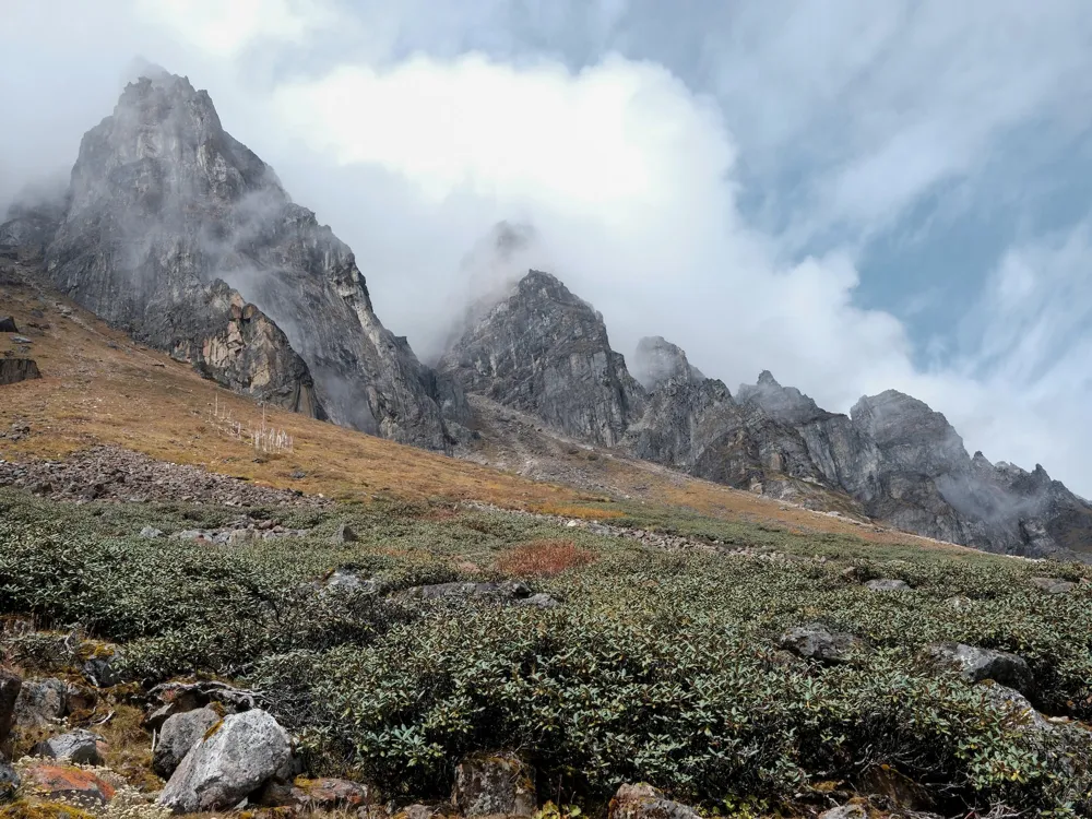 Yumthang Valley