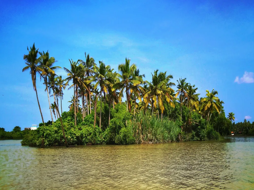 Vizhinjam