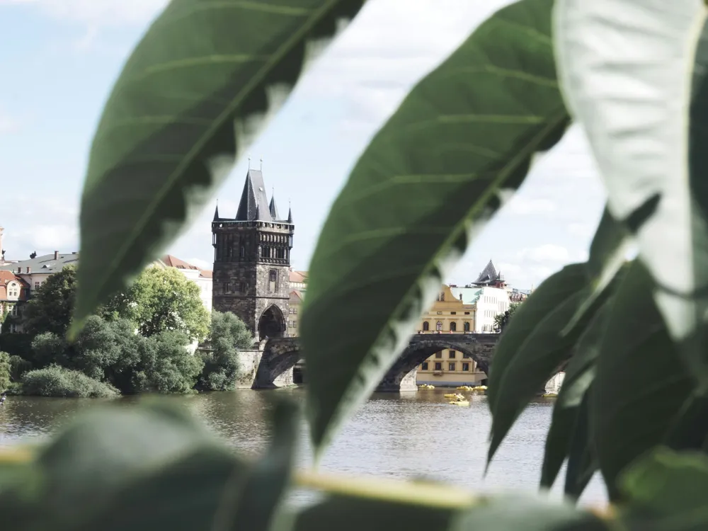 Charles Bridge (Karluv Most)