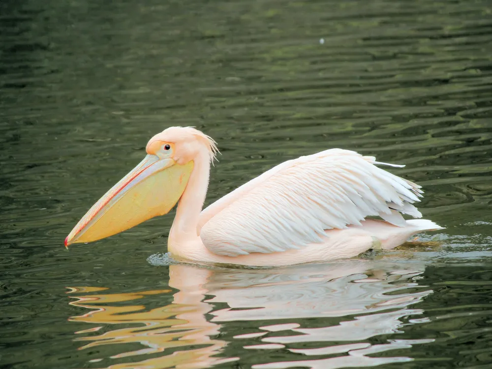 Prague Zoo