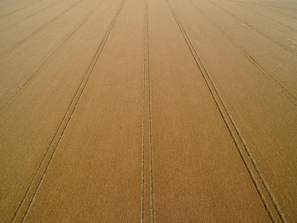 Chariot Tracks