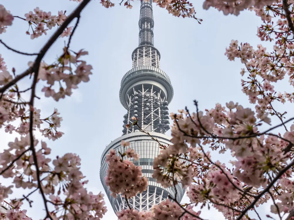 Kingdom Centre Tower