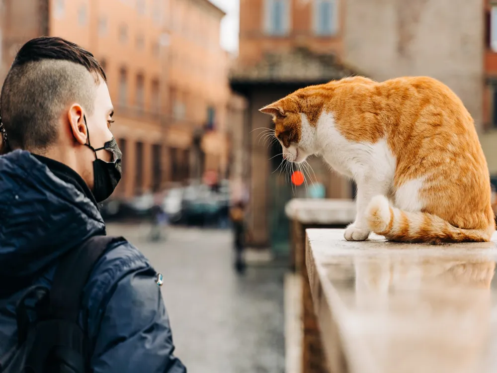 Torre Argentina Cat Sanctuary